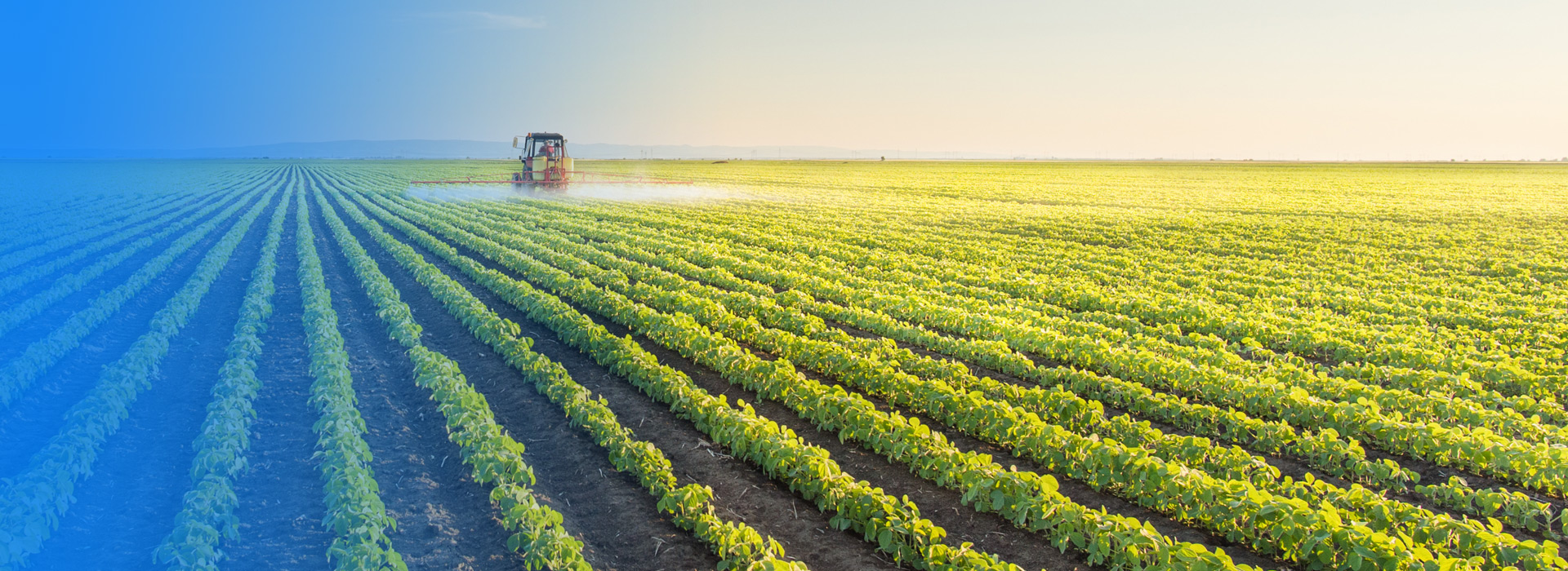 今年会农业公司